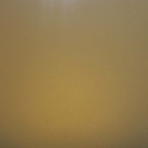 Meet your Posher, Josephine